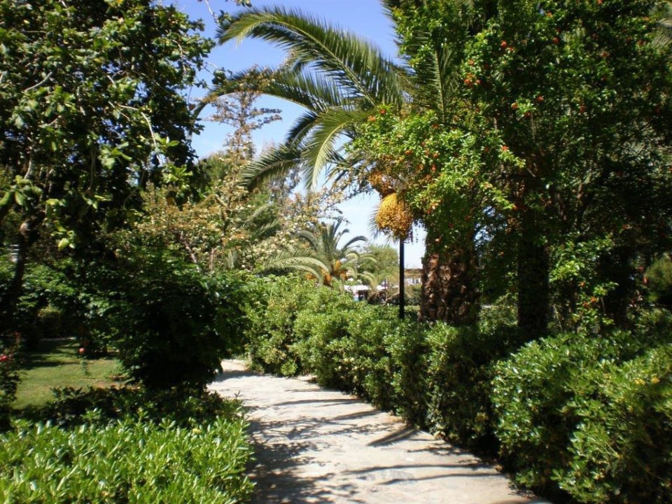 Gartenanlage Apollonia Beach Resort & Spa