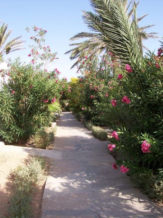 der Garten Hotel Sangho Club Zarzis