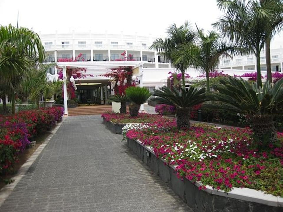 Die Farbenvielfalt der Blumen ... Hotel Riu Palace Meloneras
