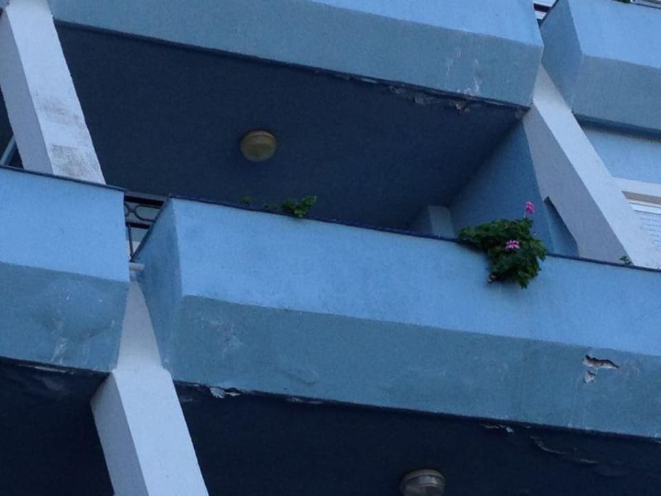 Abblättern der Fassade Coral La Quinta Park Suites