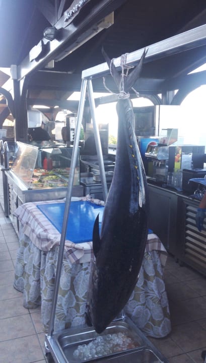 Restaurant Hotel Kalithea Horizon Royal