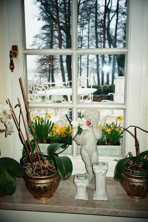 Blick vom Restaurant ins Freie Villa Contessa