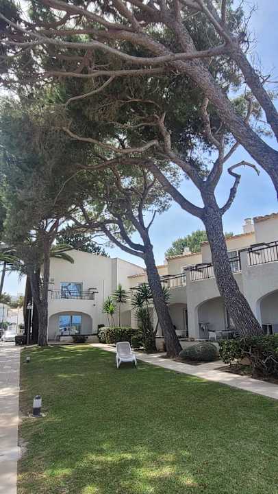 Gartenanlage Grupotel Los Principes & Spa