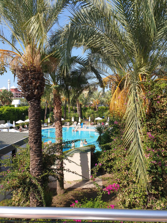 Pool Calimera Hane Garden