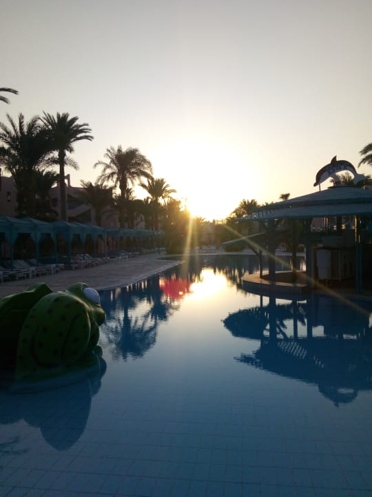 Pool Hotel Le Pacha Beach Resort