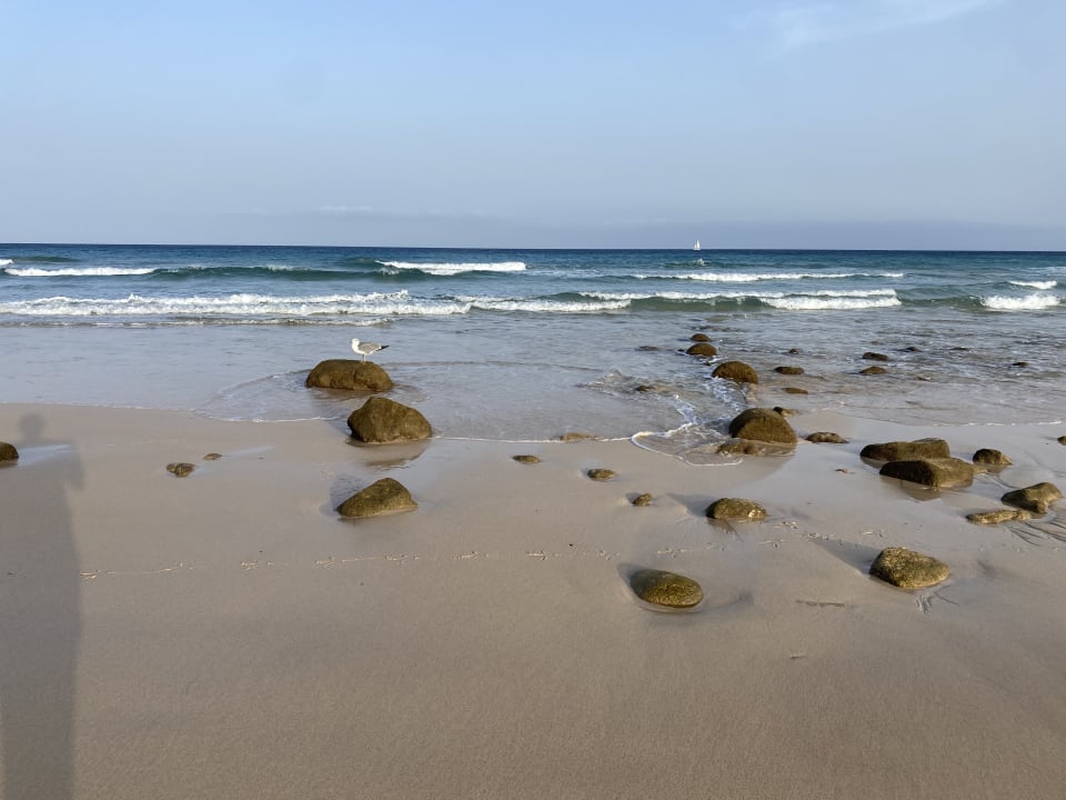 Strand Iberostar Waves Gaviotas Park