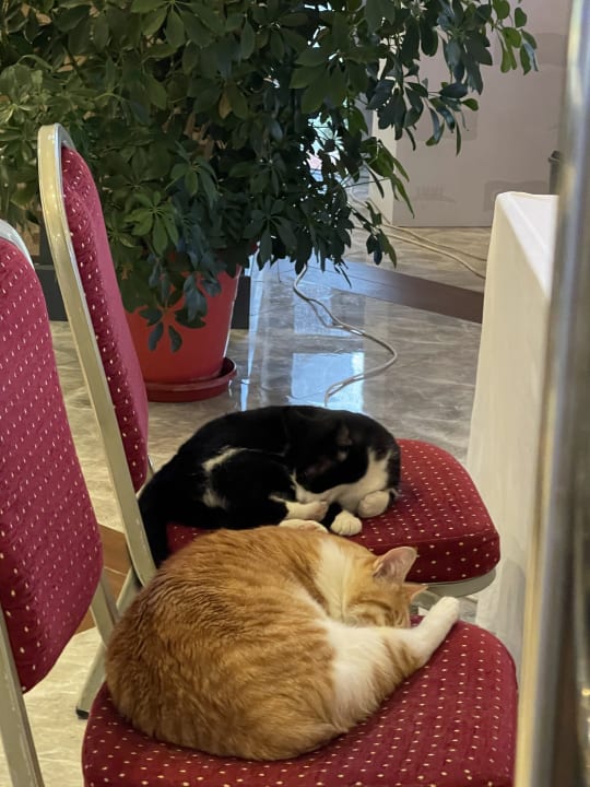 Sonstiges Limak Limra Hotel & Resort