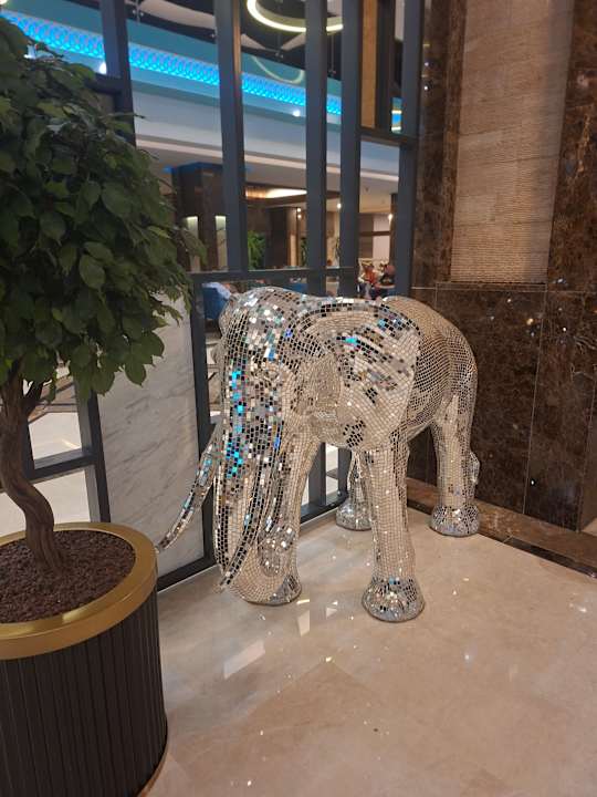 Lobby Luna Blanca Resort & Spa