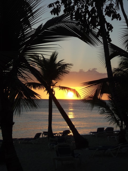 Sonnenuntergang, die 125te... Dreams La Romana Resort & Spa