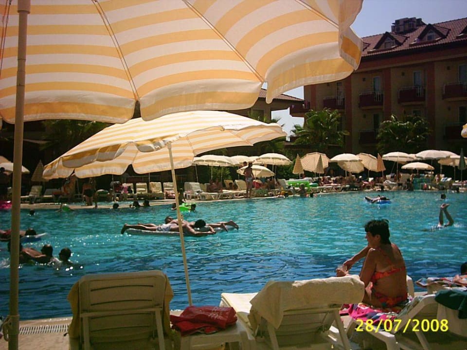 Teil vom Pool Hotel Orfeus Park