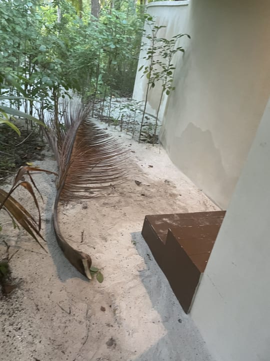 Zimmer Kihaa Maldives