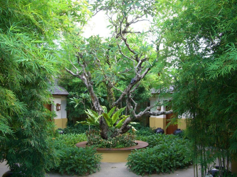 Spa Bereich Hotel Shangri-La Rasa Sayang Resort