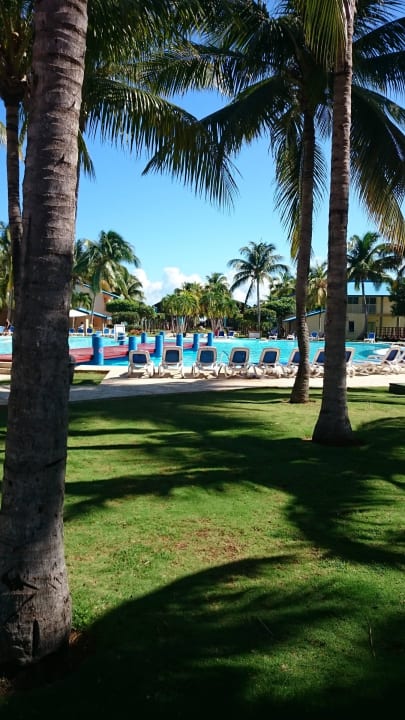 Blick zum Pool Sol Hicacos