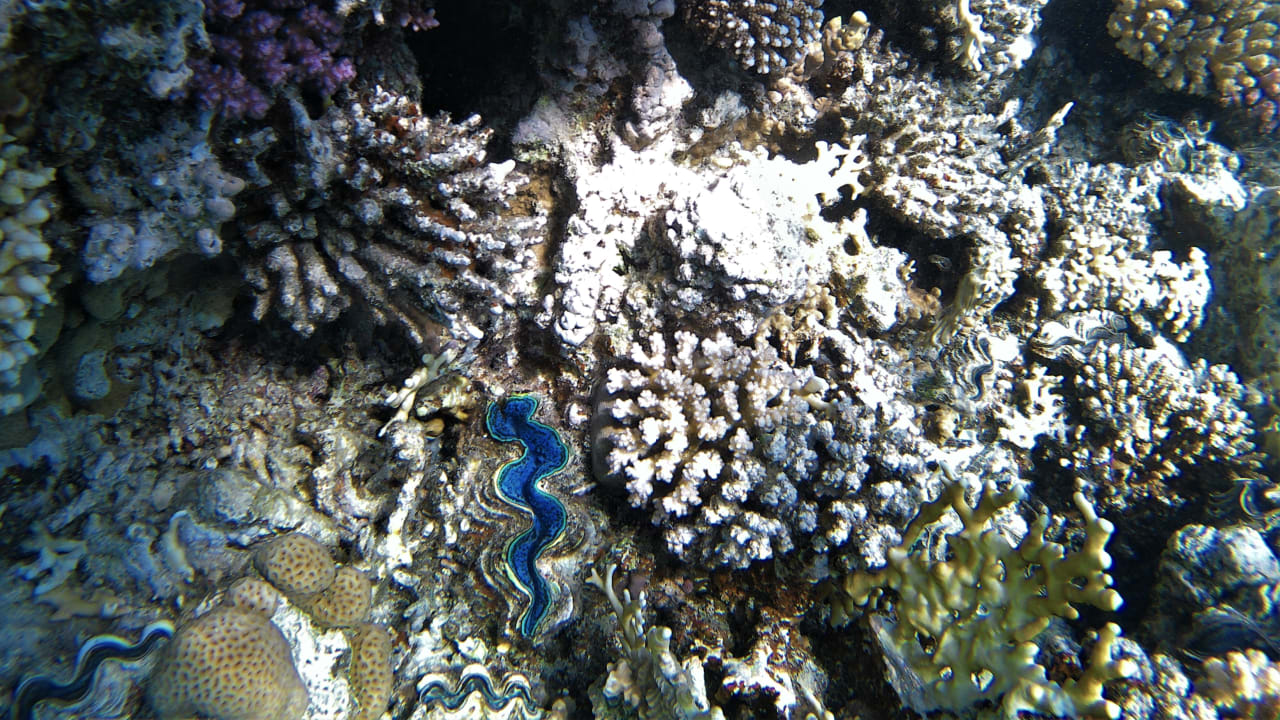 Sport & Freizeit Makadi Spa - Adults only