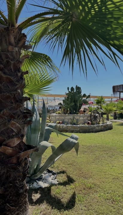 Strand Dream World Palace Hotel