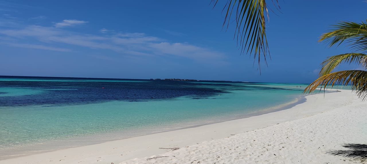 Ausblick Kuredu Island Resort & Spa