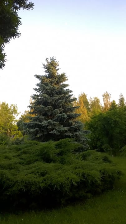 Gepflegte Gartenanlage Hotel Jaskólka