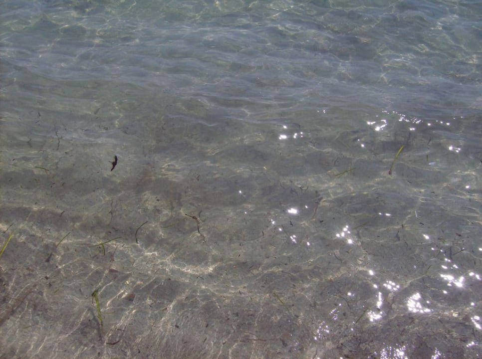 Wasser Zita Beach Resort