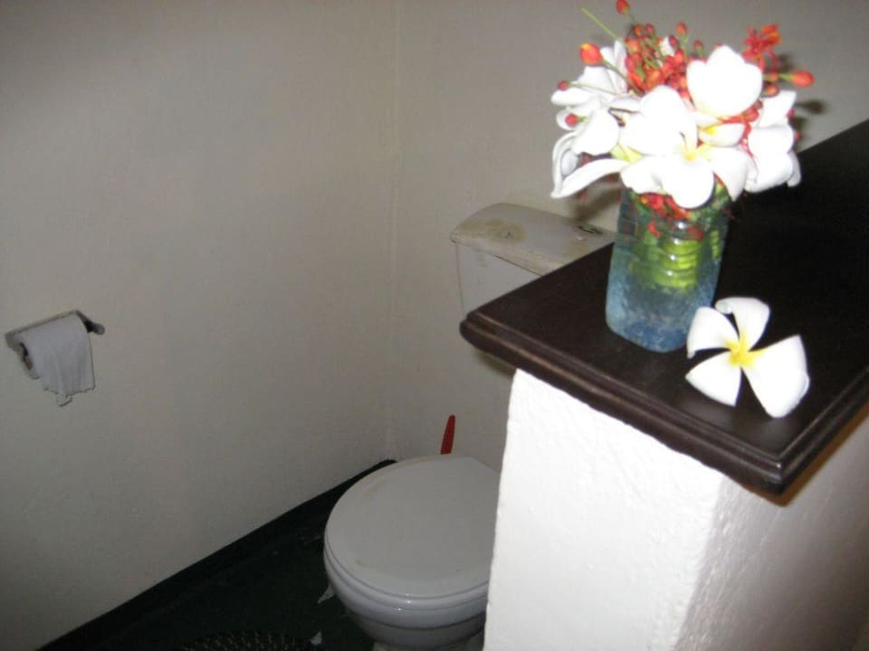 Toilette im Zelt Crocodile Camp