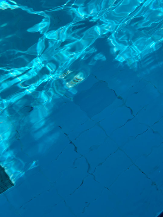 Pool Dizalya Palm Garden