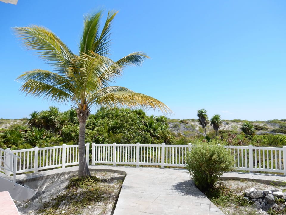 Gartenanlage Hotel Cayo Largo del Sol