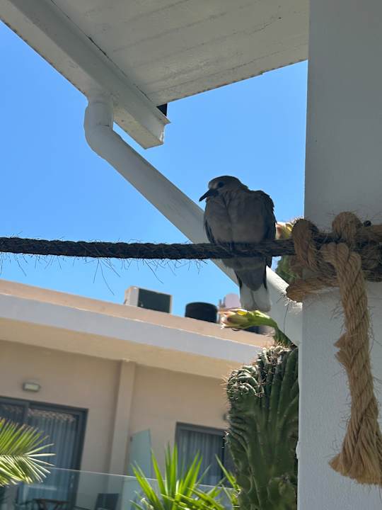 Sonstiges HARPIN Happy Days Beach Hotel