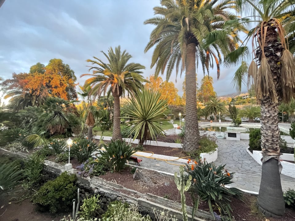 Gartenanlage Apartments Ambassador