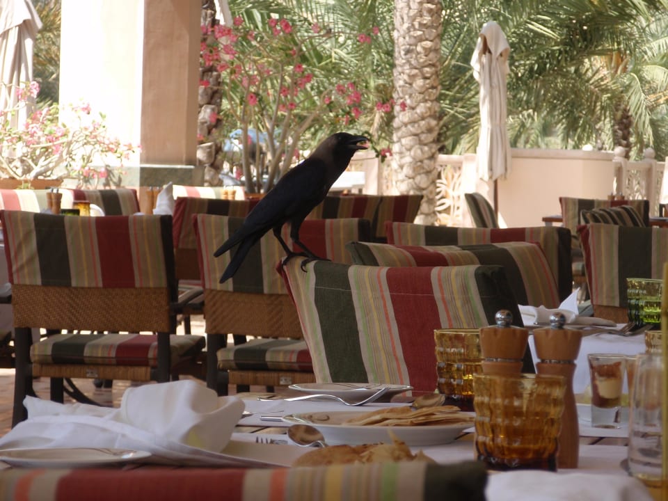 Hauptrestaurant Jumeirah Dar Al Masyaf