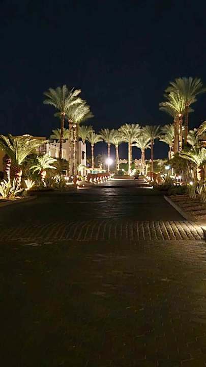 Außenansicht Reef Oasis Beach Resort