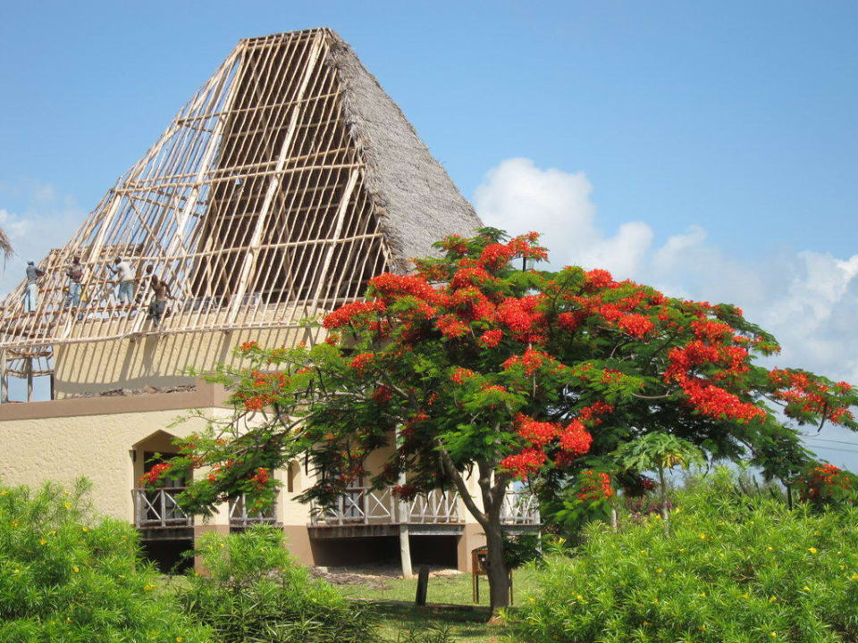 Das Dach wird neu gedeckt Neptune Pwani Beach Resort & Spa
