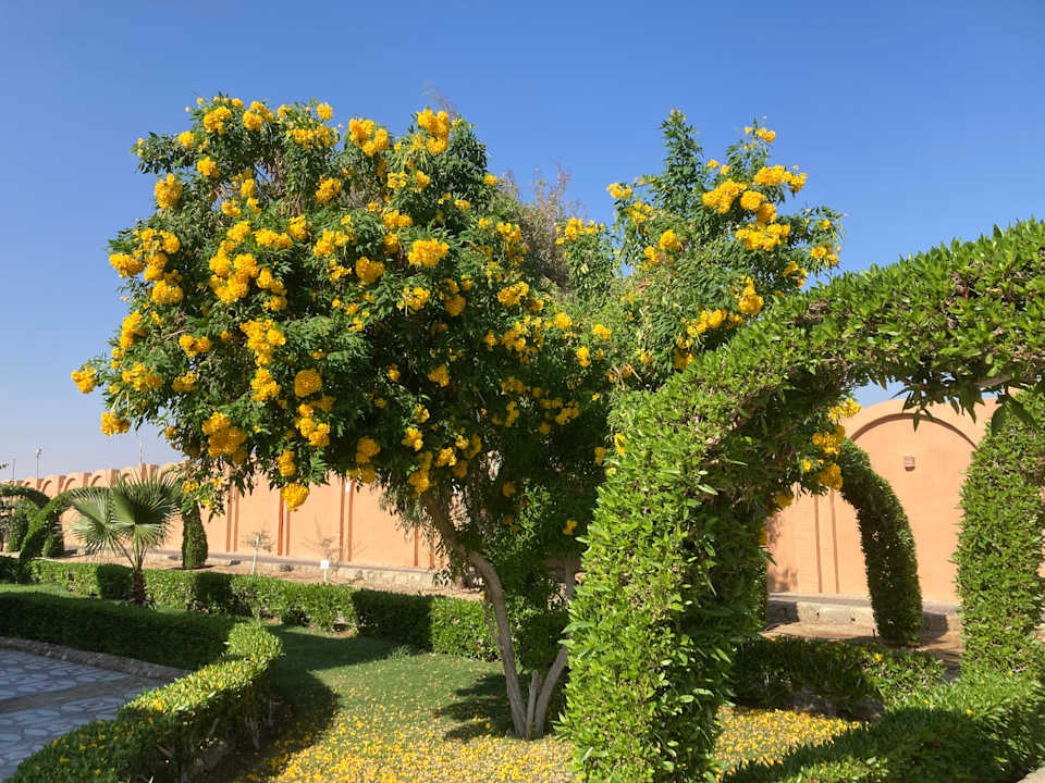Gartenanlage Sentido Akassia Beach