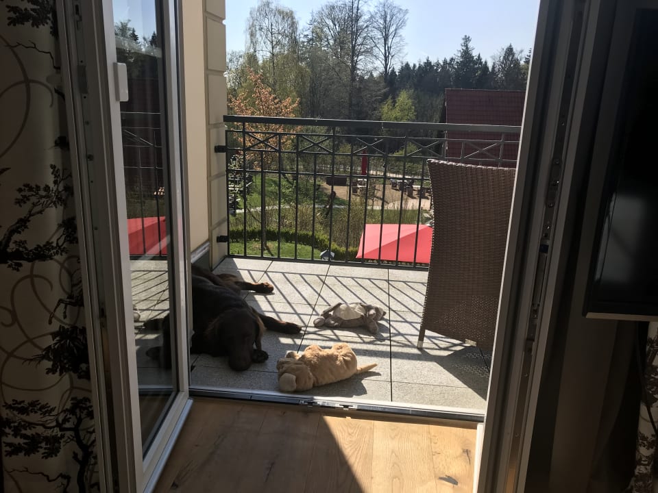 Zimmer Naturresort & Spa Schindelbruch