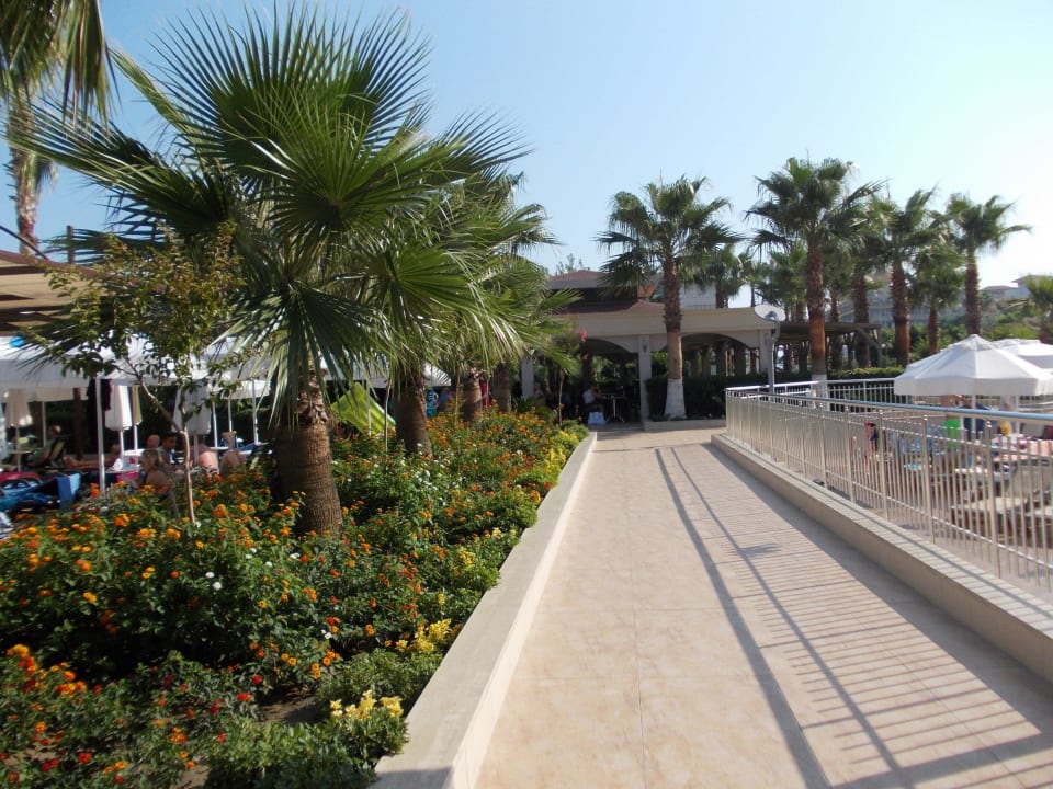Der Weg zur Bar Hane Family Resort