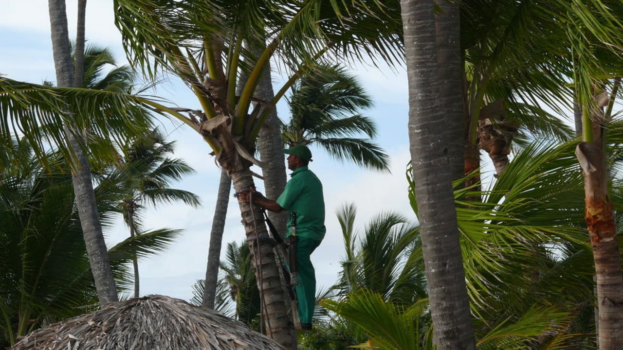 Hotel The Royal Suites Turquesa by Palladium TRS Turquesa Hotel - Adults only