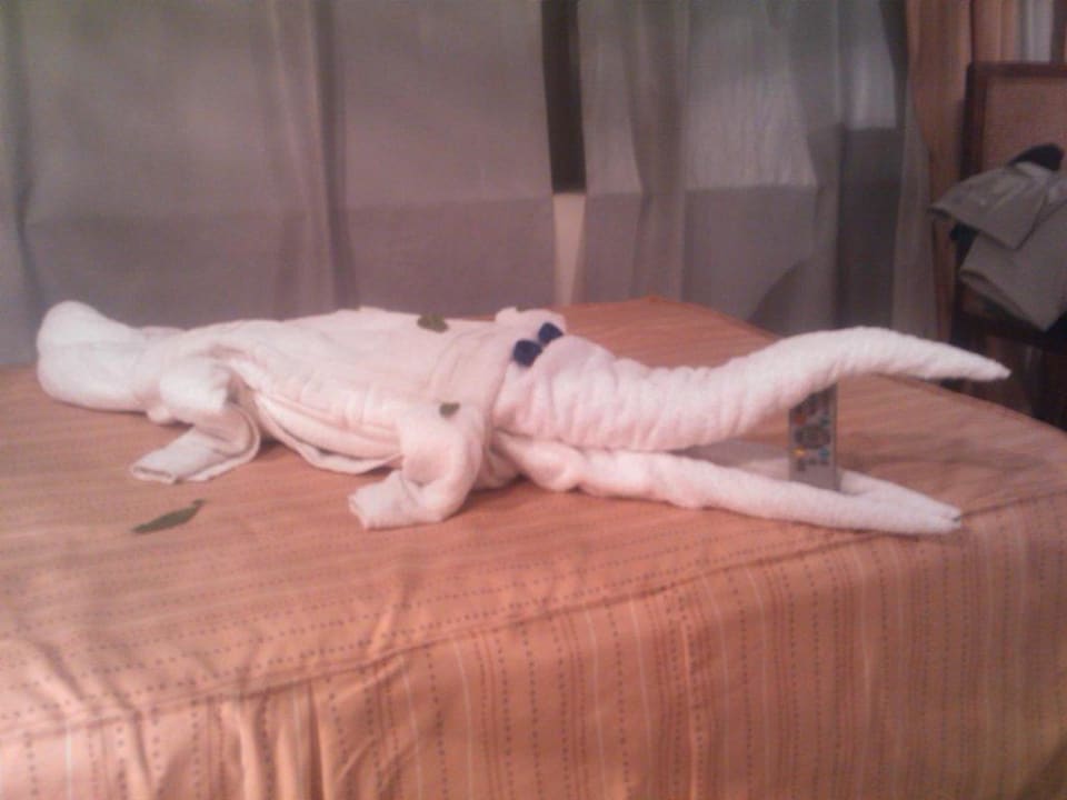 Krokodil Hotel Falcon Naama Star