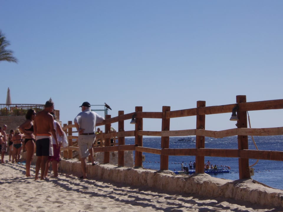 Teil des Strandes Sharm Resort