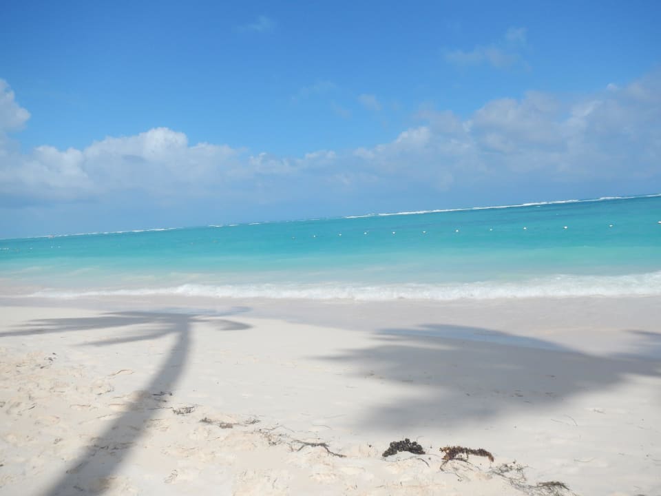 Wie auf einer Postkarte Grand Palladium Select Bávaro Resort & Spa