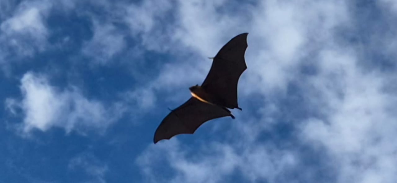 Strand Berjaya Beau Vallon Bay Resort & Casino