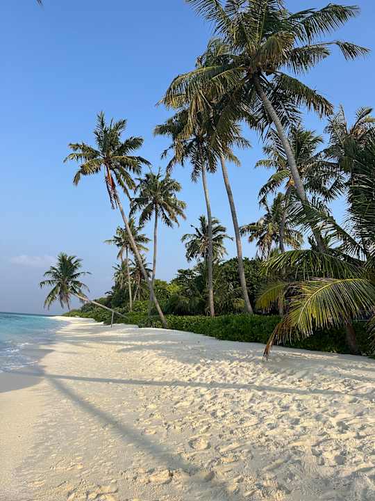 Strand Reethi Faru Resort
