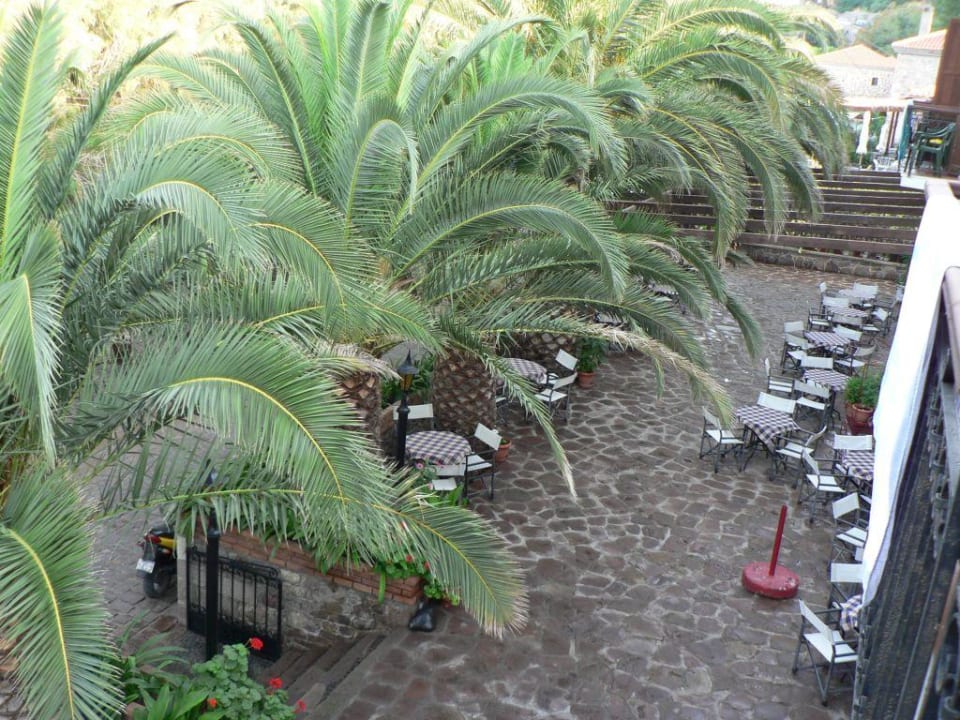 Terrasse des Molyvos 1 vom Balkon aus Hotel Molivos 1