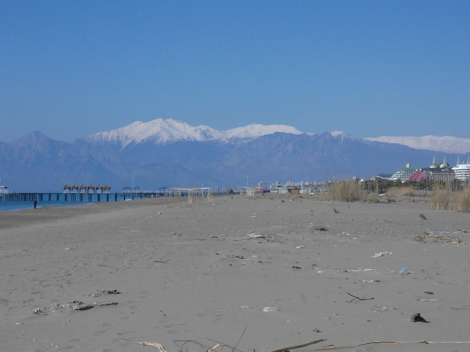 Strand Sherwood Exclusive Lara