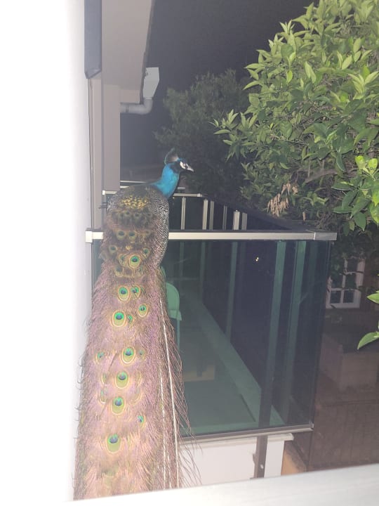 Gartenanlage Dosinia Luxury Resort