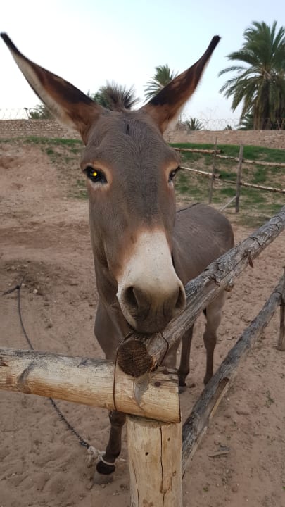 Sonstiges Sidi Mansour Resort & Spa