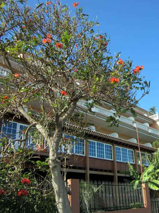 Veranda des Restaurants Hotel Riu Garoe