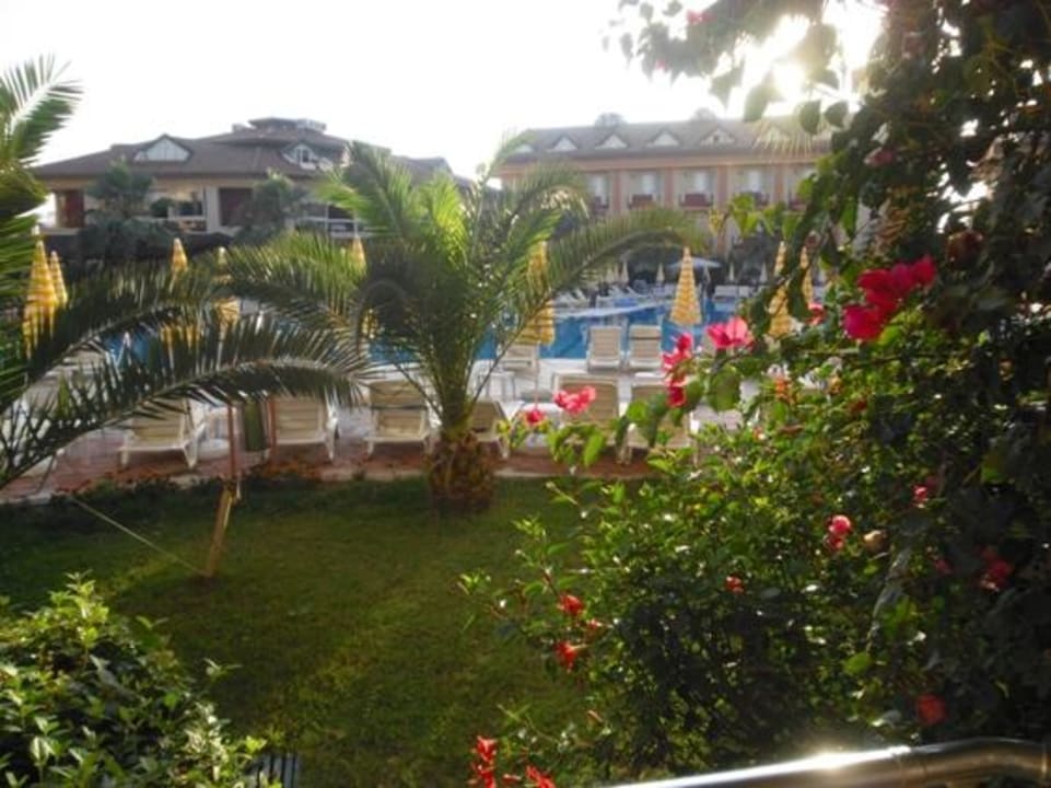 Ausblick Hotel Orfeus Park