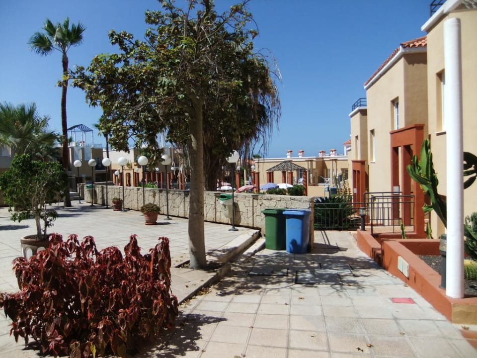 Hotelanlage - Weg zum Pool Los Olivos Beach Resort