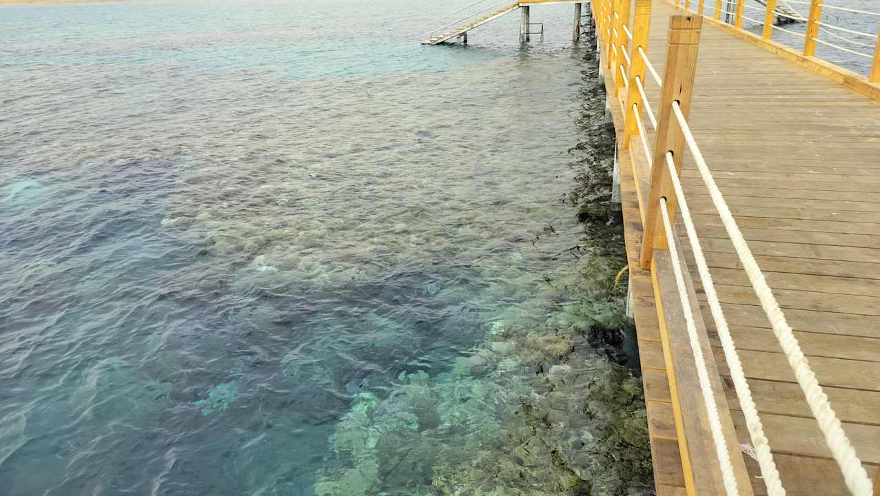 Strand SUNRISE Anjum Resort Marsa Alam