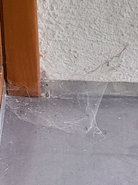 Zimmer Hotel Das Gastein