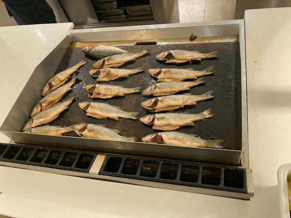 Gastro TUI BLUE Palm Beach Hammamet