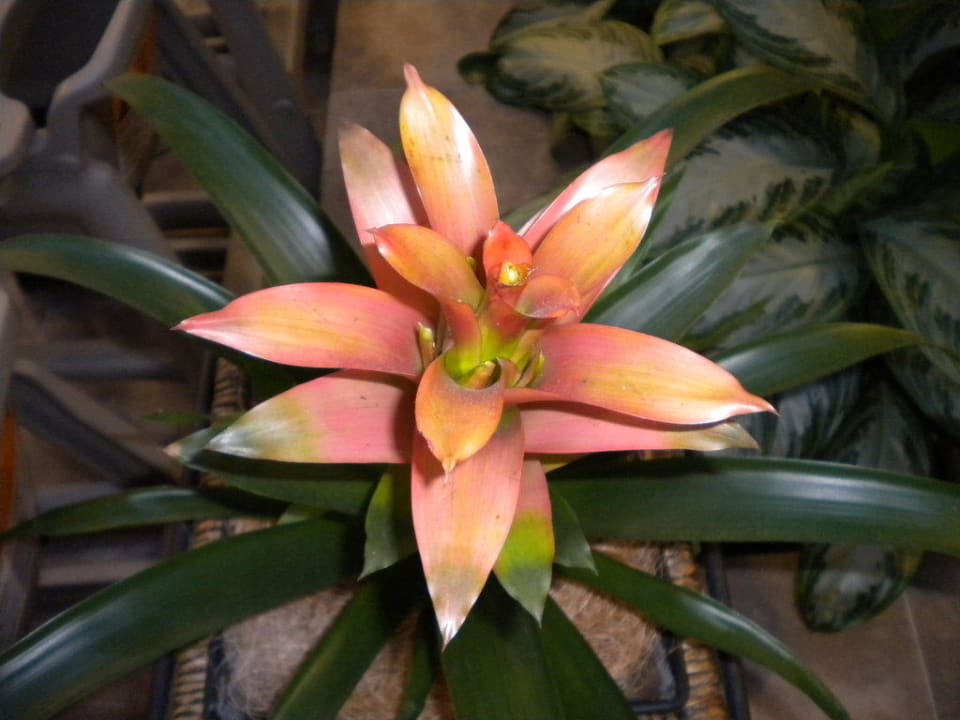 Aquaworld Aquaworld Resort Budapest